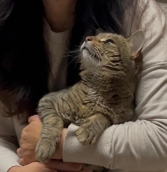 Coco Friendly With Rella thumbnail 5