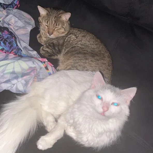 Coco Friendly With Rella thumbnail 6