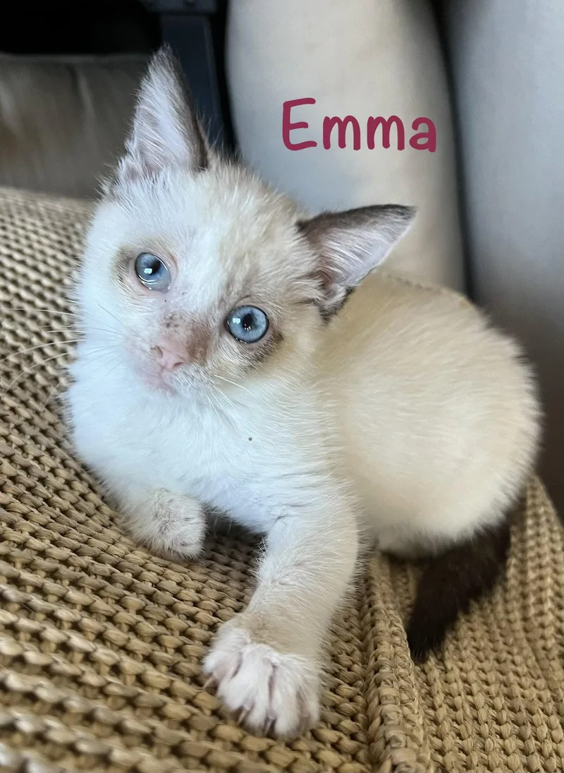 Emma thumbnail 2