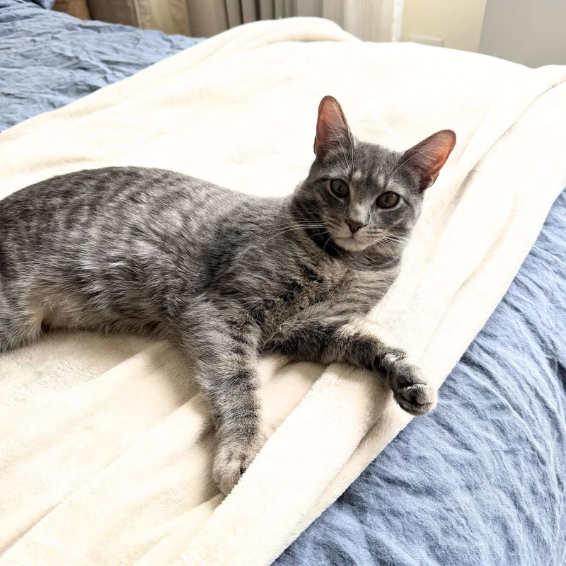 Dr. Remsen thumbnail 2