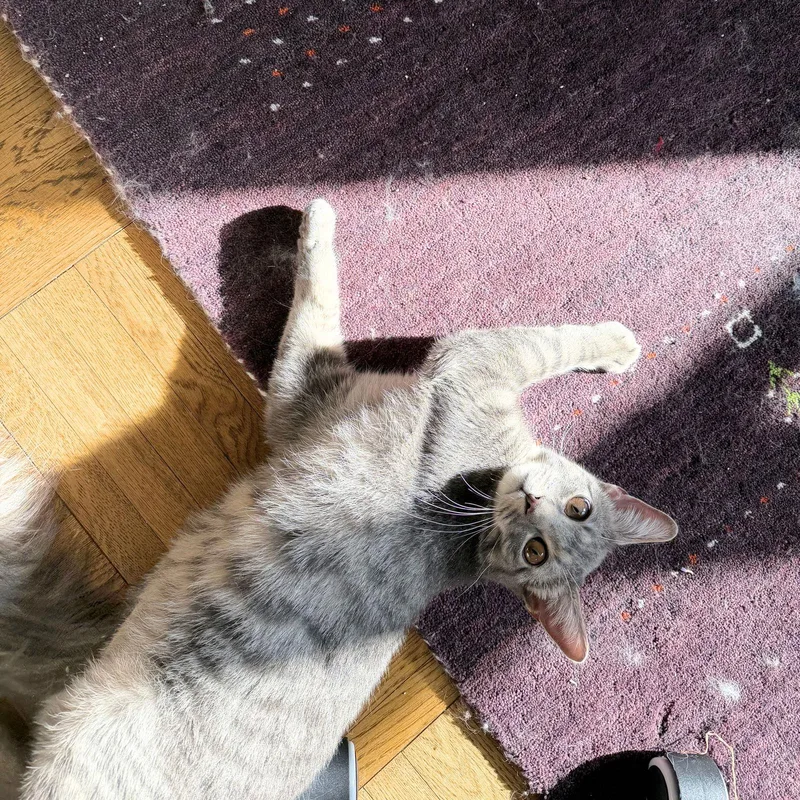 Dr. Remsen thumbnail 3