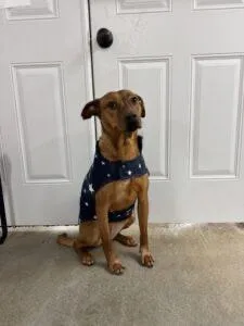 Rosaline thumbnail 3