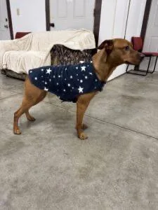 Rosaline thumbnail 5