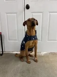 Rosaline thumbnail 6