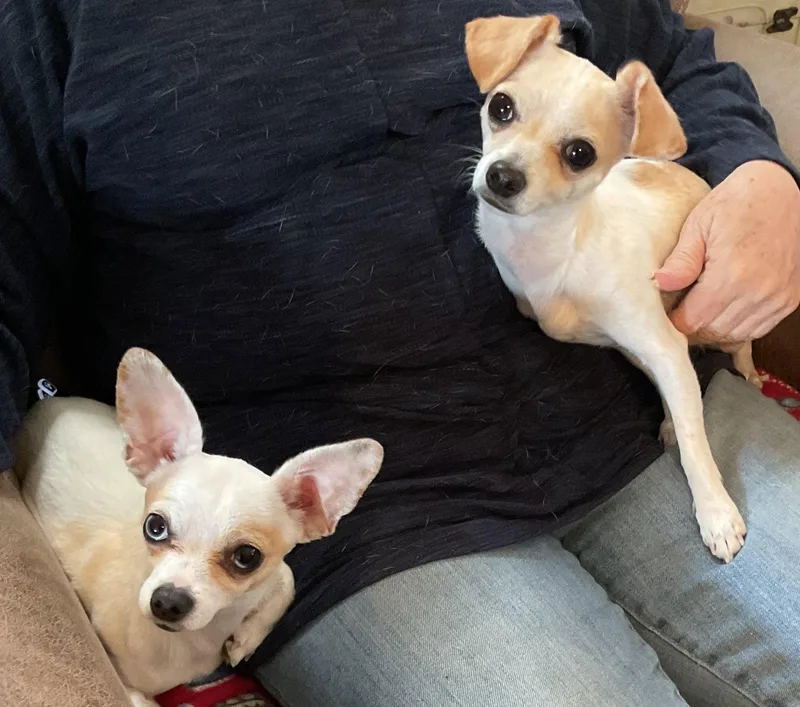 Fiona & Willow Bonded