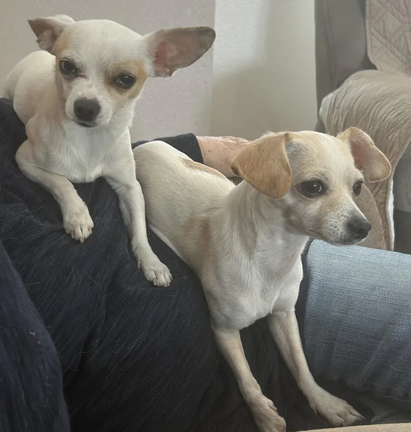 Fiona & Willow Bonded thumbnail 2