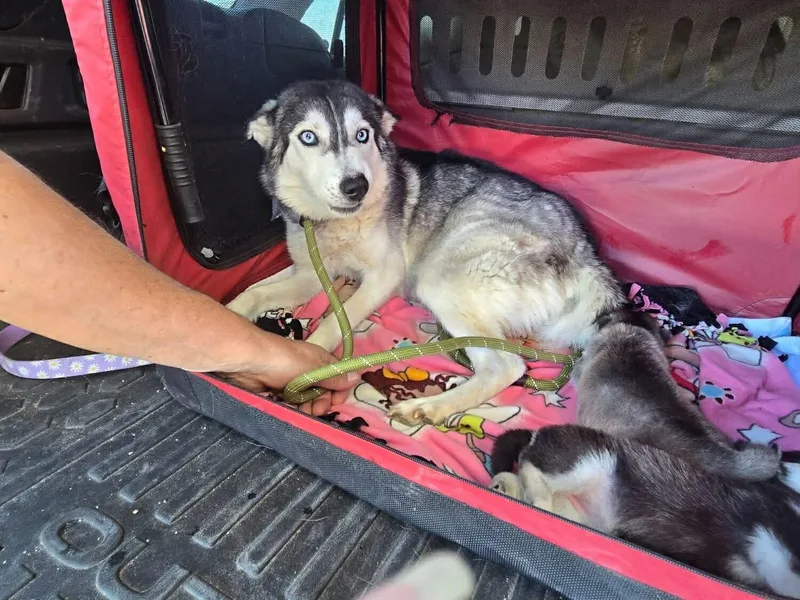 Moira Fka Amalfi thumbnail 3