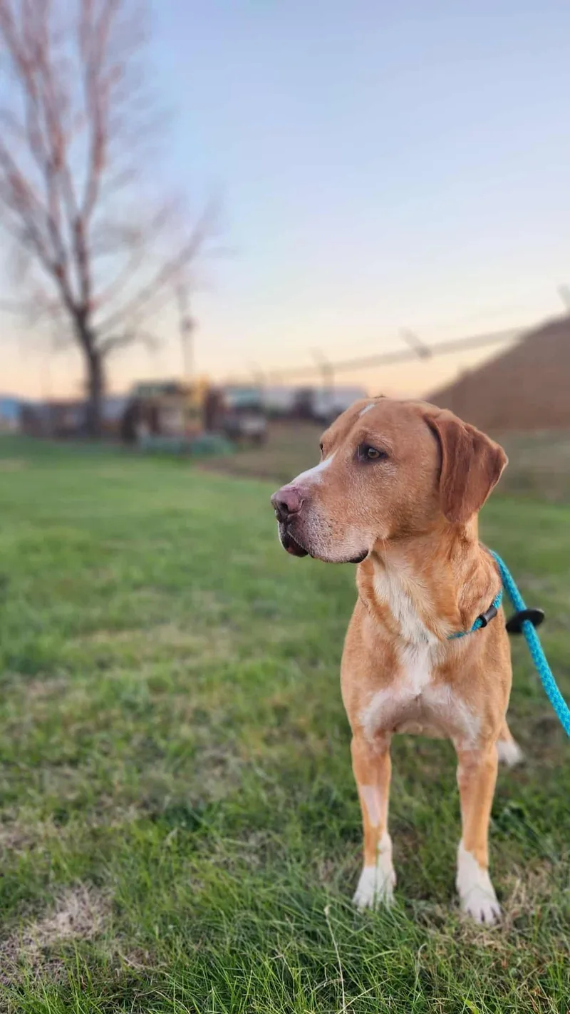 Clint Eastwood thumbnail 2