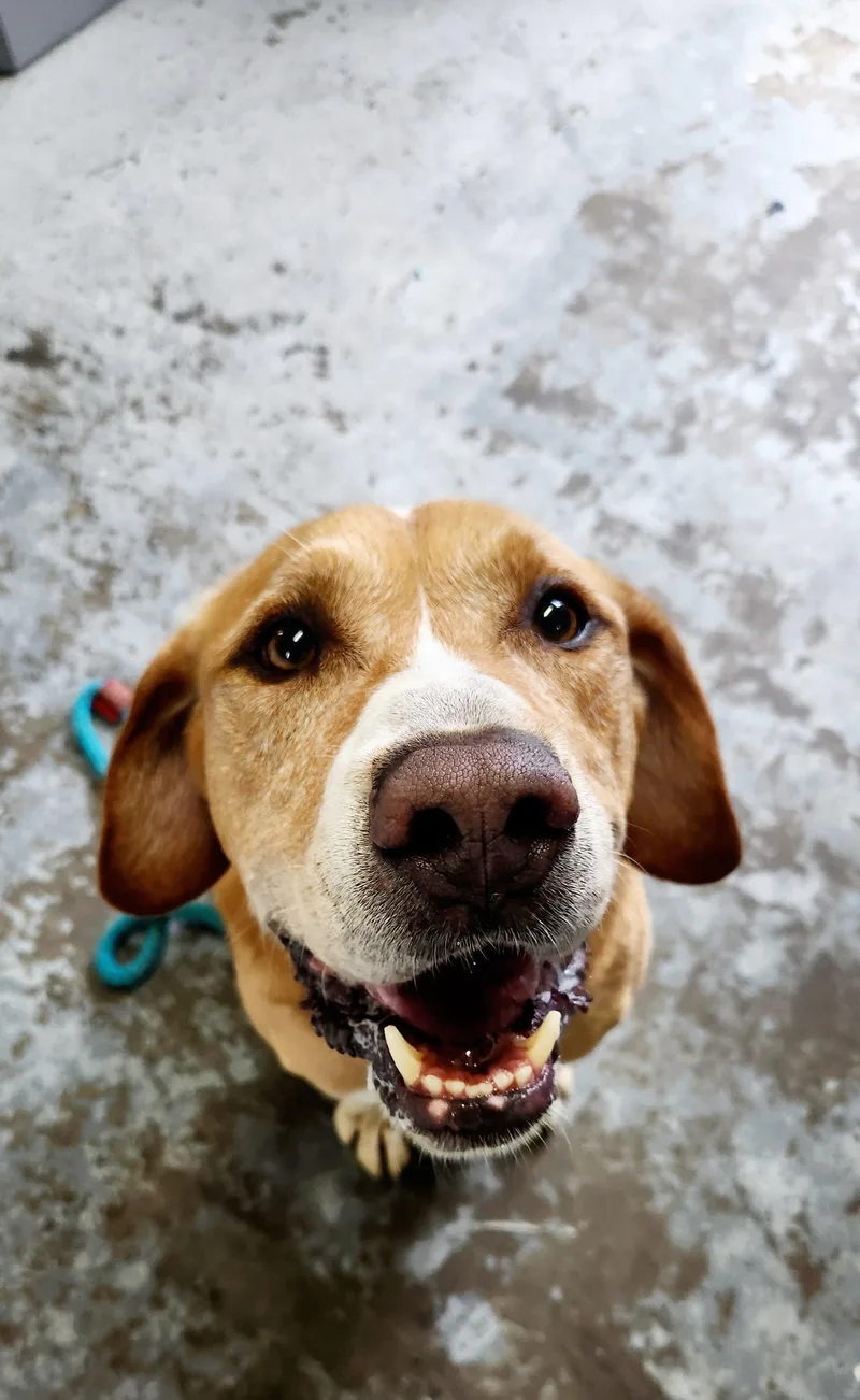 Clint Eastwood thumbnail 3