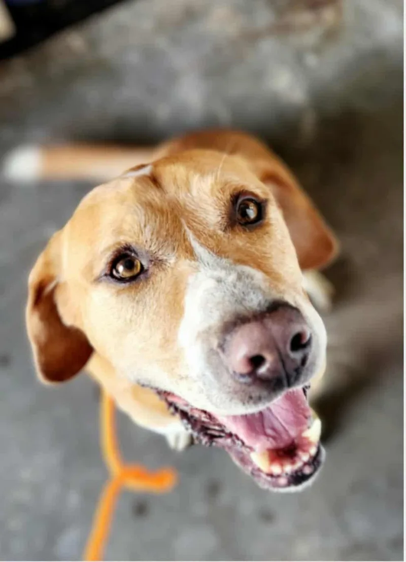 Clint Eastwood thumbnail 4