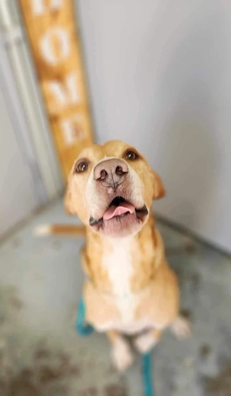 Clint Eastwood thumbnail 6