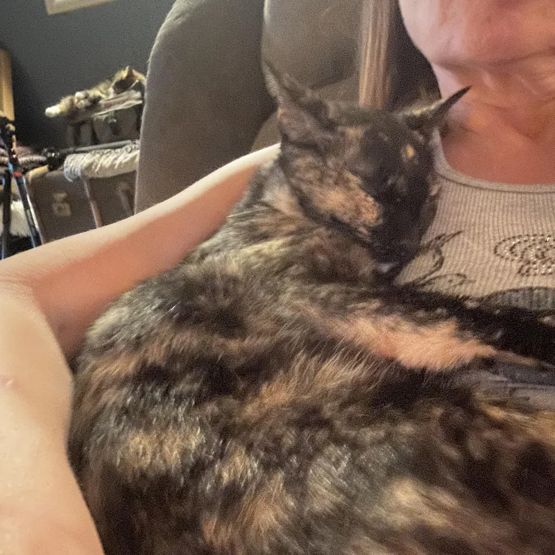 Mamma Rosie thumbnail 2