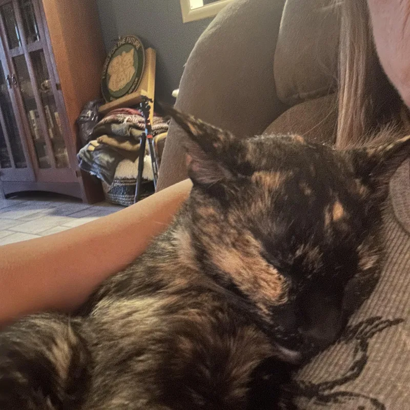 Mamma Rosie thumbnail 3