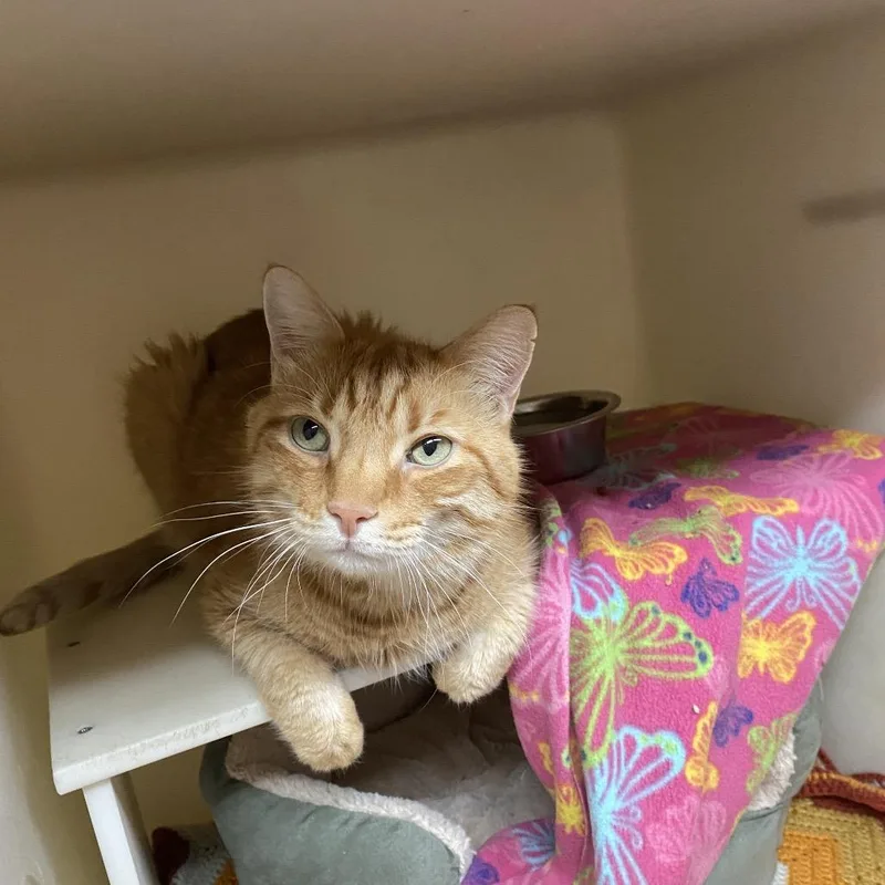 Freddie thumbnail 2