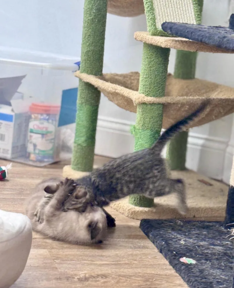 Gary thumbnail 6
