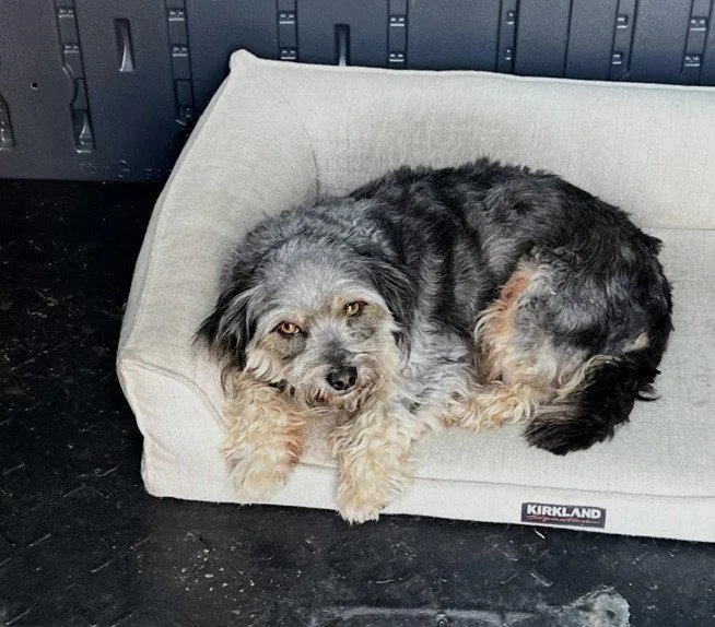 Casper Mar thumbnail 2