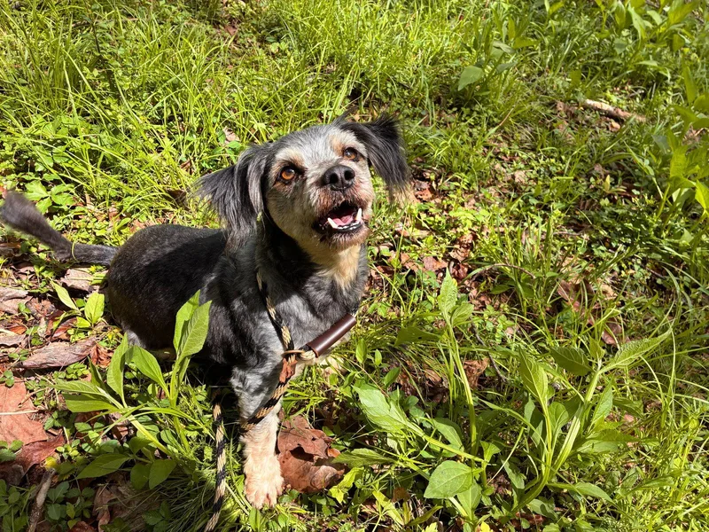 Casper Mar thumbnail 3