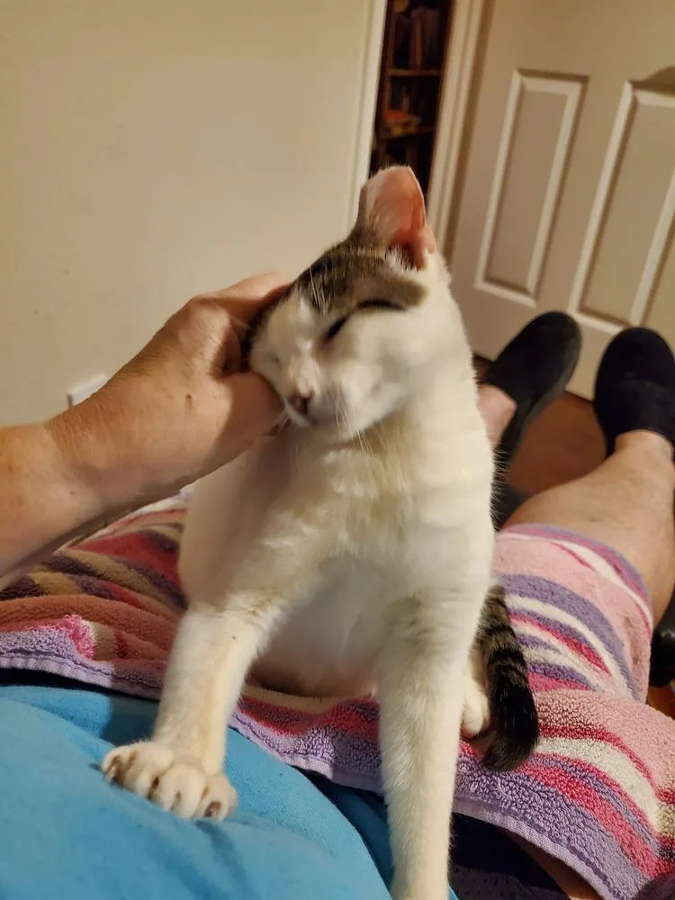 Rue Royal thumbnail 4