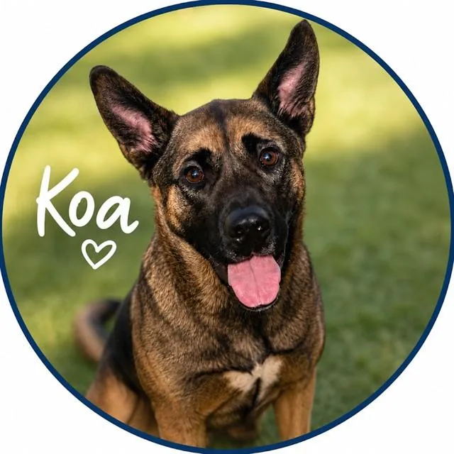 Koa