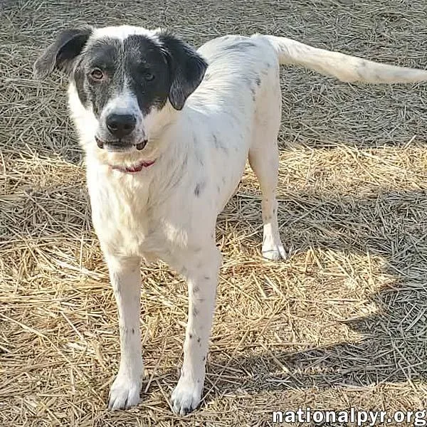 Sunnie In Ky  thumbnail 2