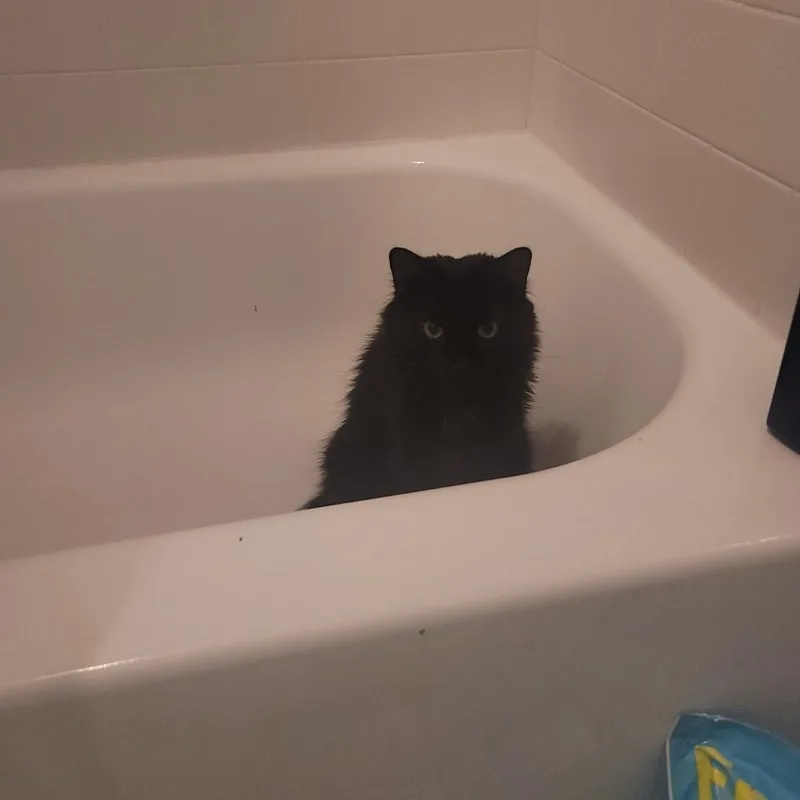 Captain Blacky thumbnail 3