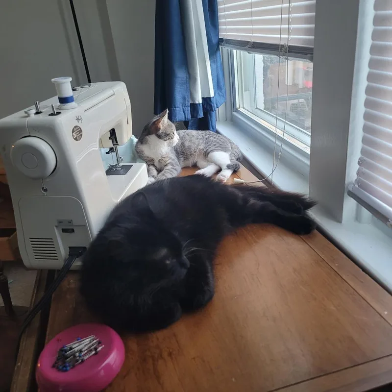 Captain Blacky thumbnail 4