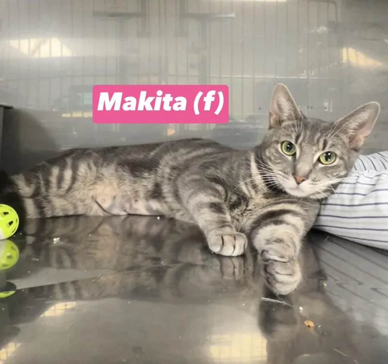 Makita thumbnail 3
