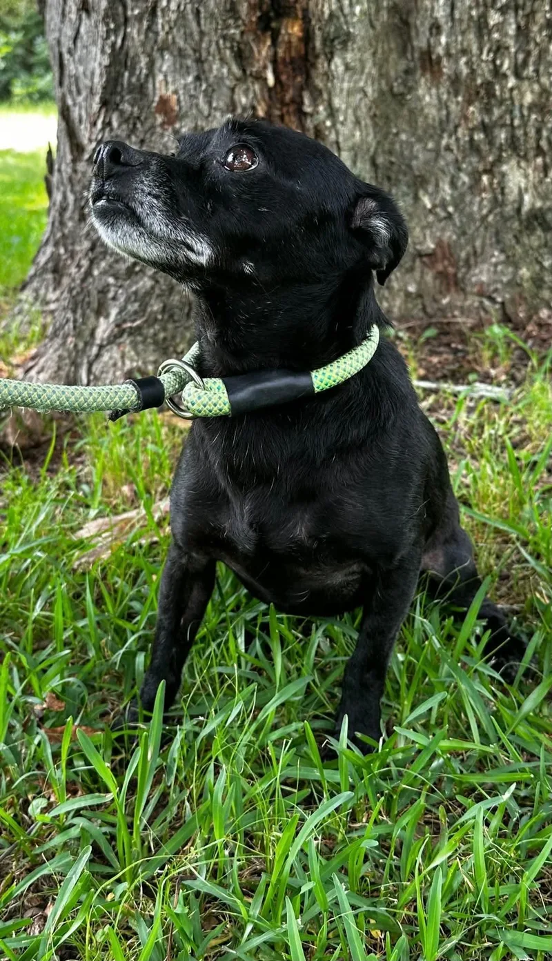 Lena