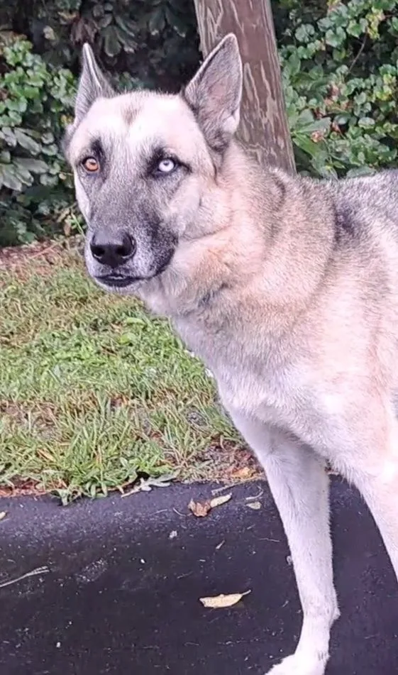 Tucker And Sadie thumbnail 3