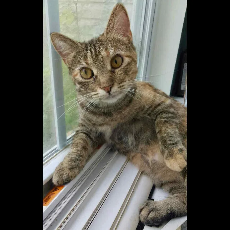 Skittles thumbnail 5