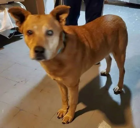 Nicholas Aka Ray Charles thumbnail 3