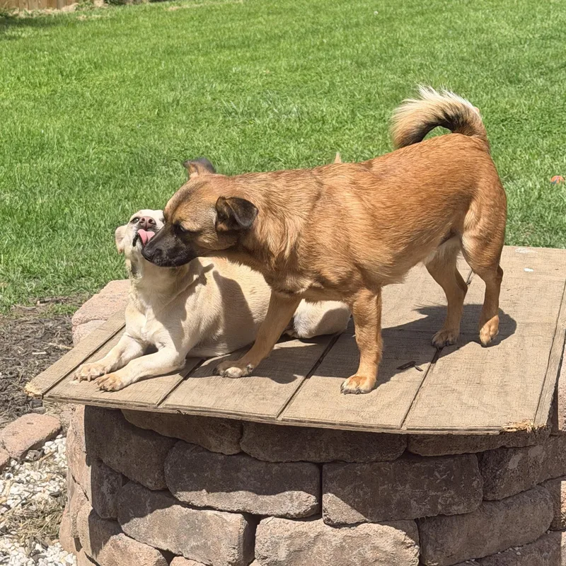 Oscar & Walt thumbnail 2