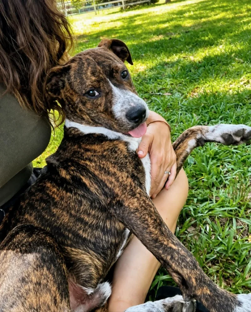 Denny