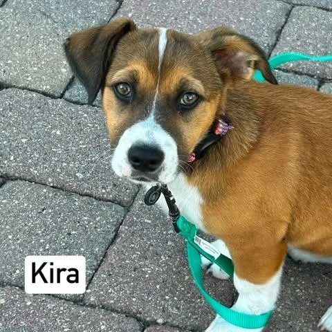 Kira Lou thumbnail 6
