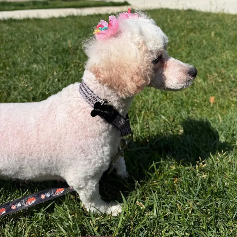 Flufferkins thumbnail 3