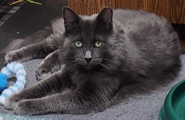 Bruno & Dean thumbnail 3