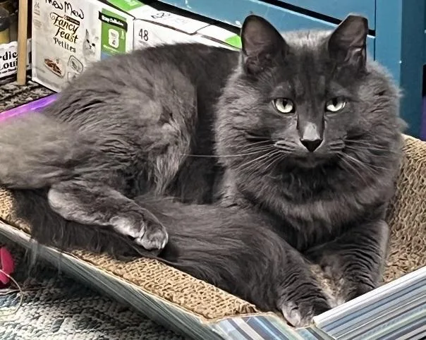 Bruno & Dean thumbnail 4