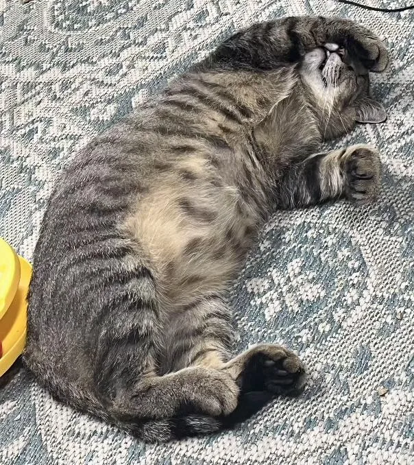 Bruno & Dean thumbnail 6