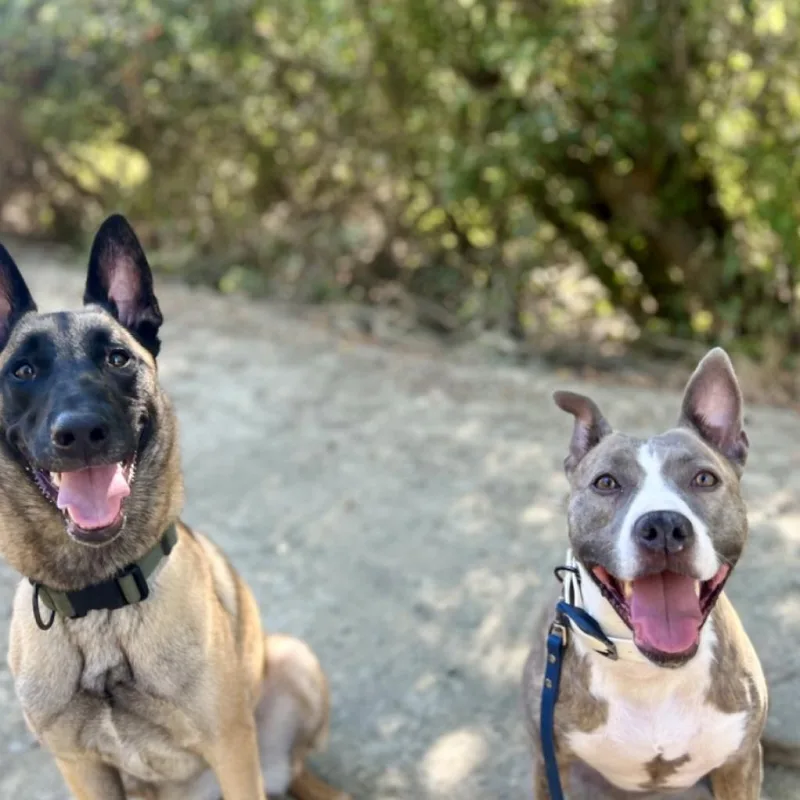 Riley Mcpitty thumbnail 2