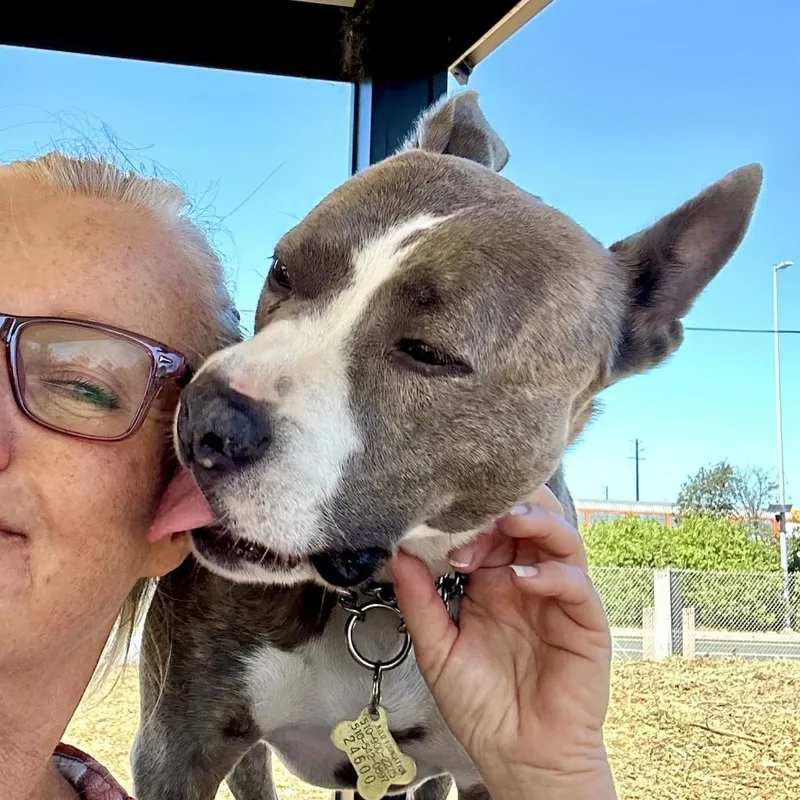 Riley Mcpitty thumbnail 3