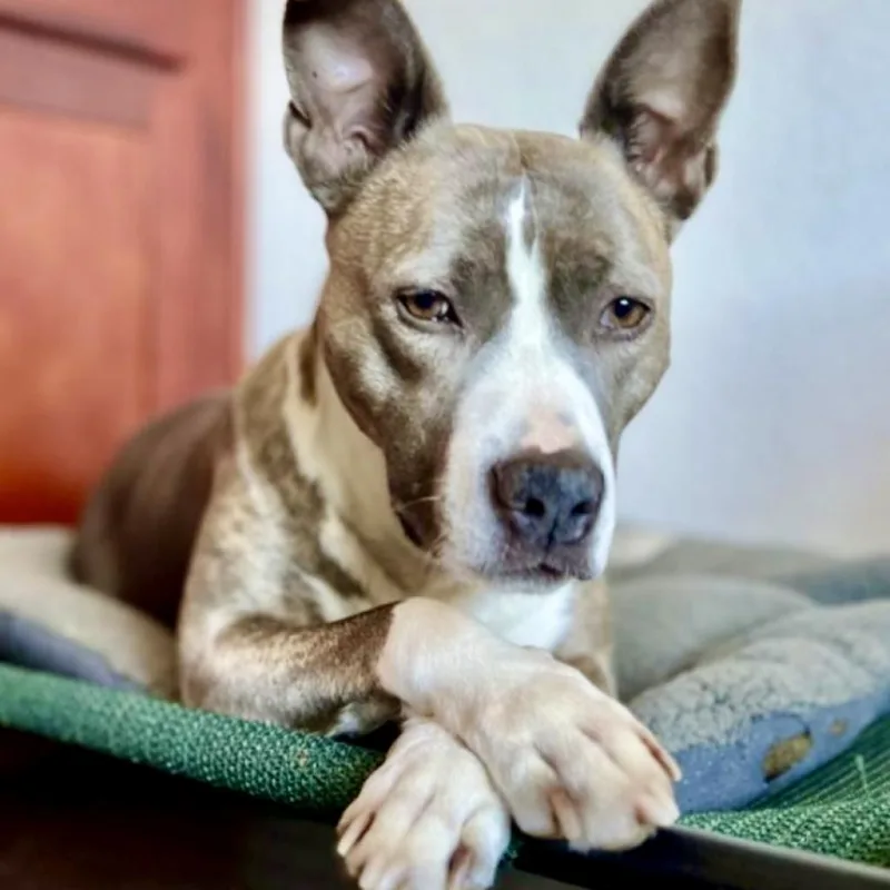 Riley Mcpitty thumbnail 4