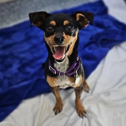 Chiquita