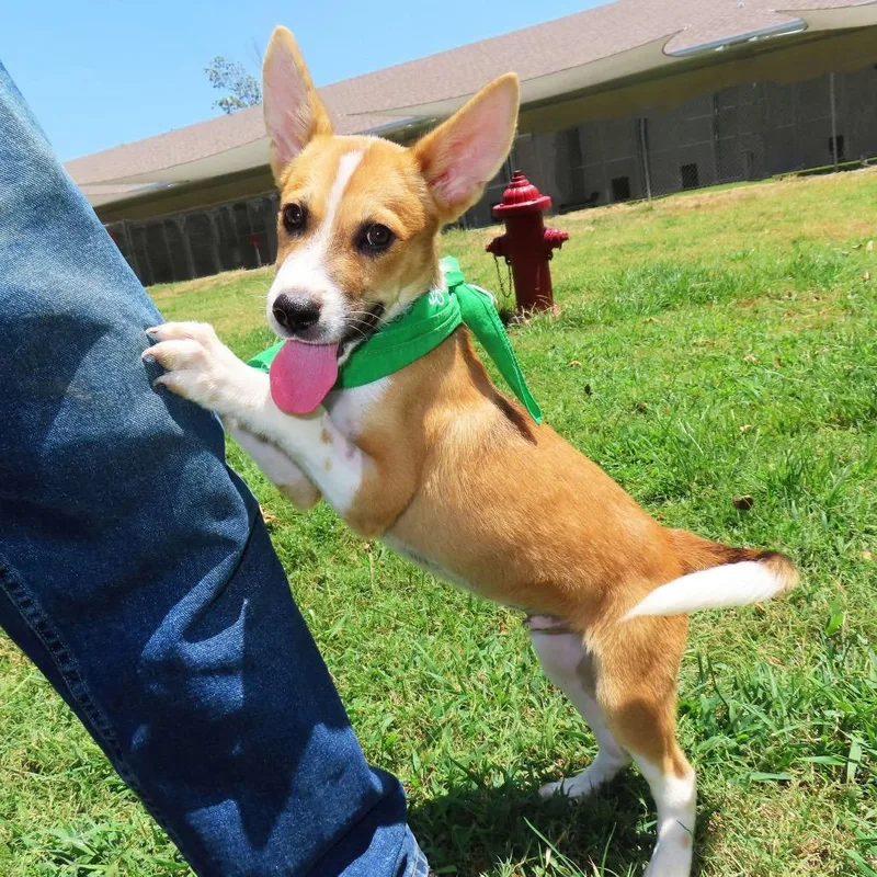 Bert thumbnail 2