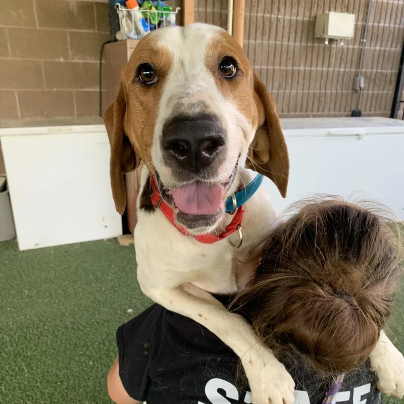 O'connor thumbnail 2