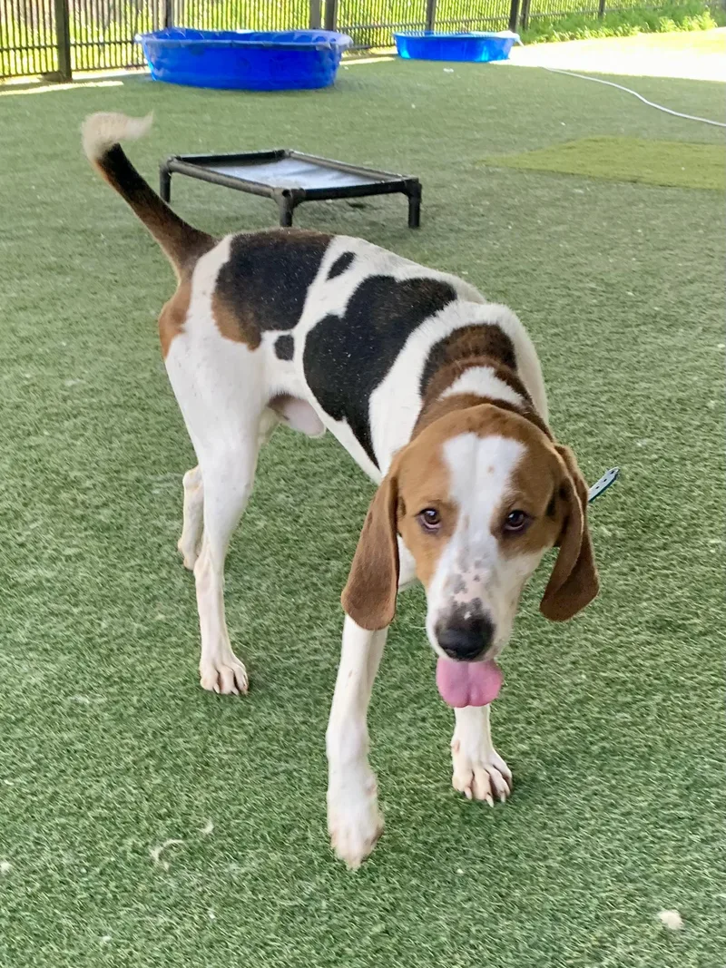 O'connor thumbnail 3