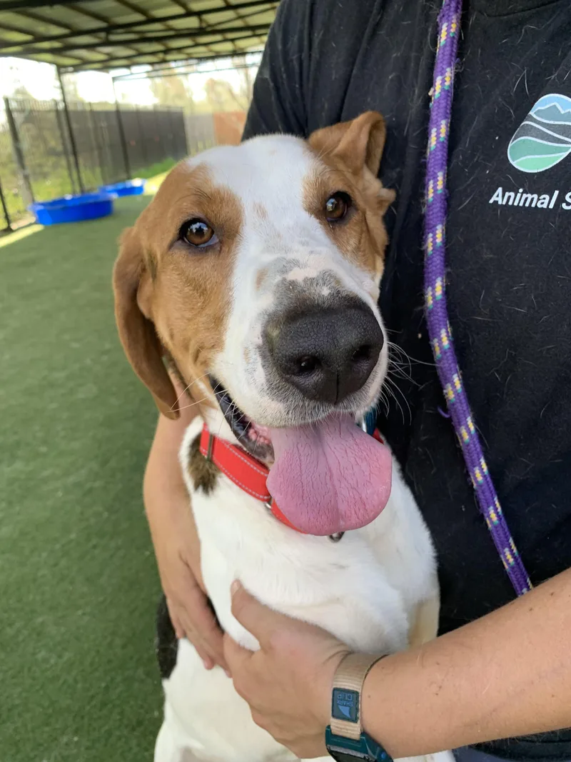 O'connor thumbnail 4