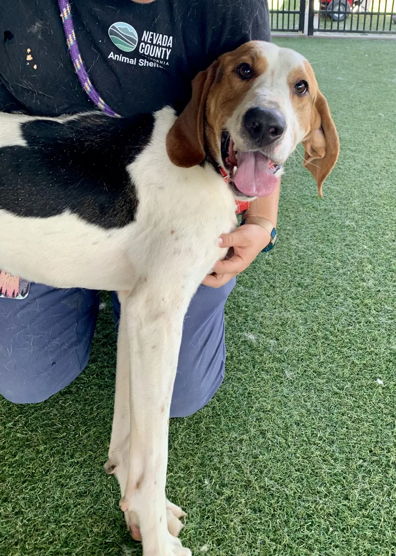 O'connor thumbnail 5