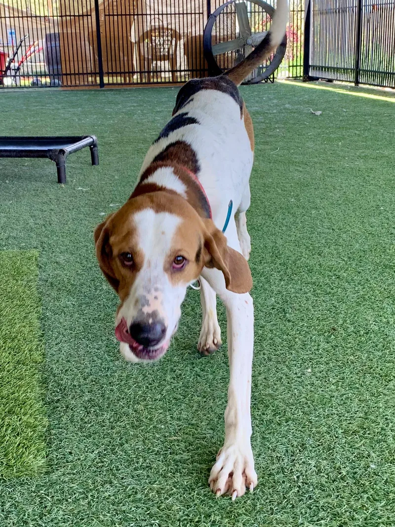 O'connor thumbnail 6