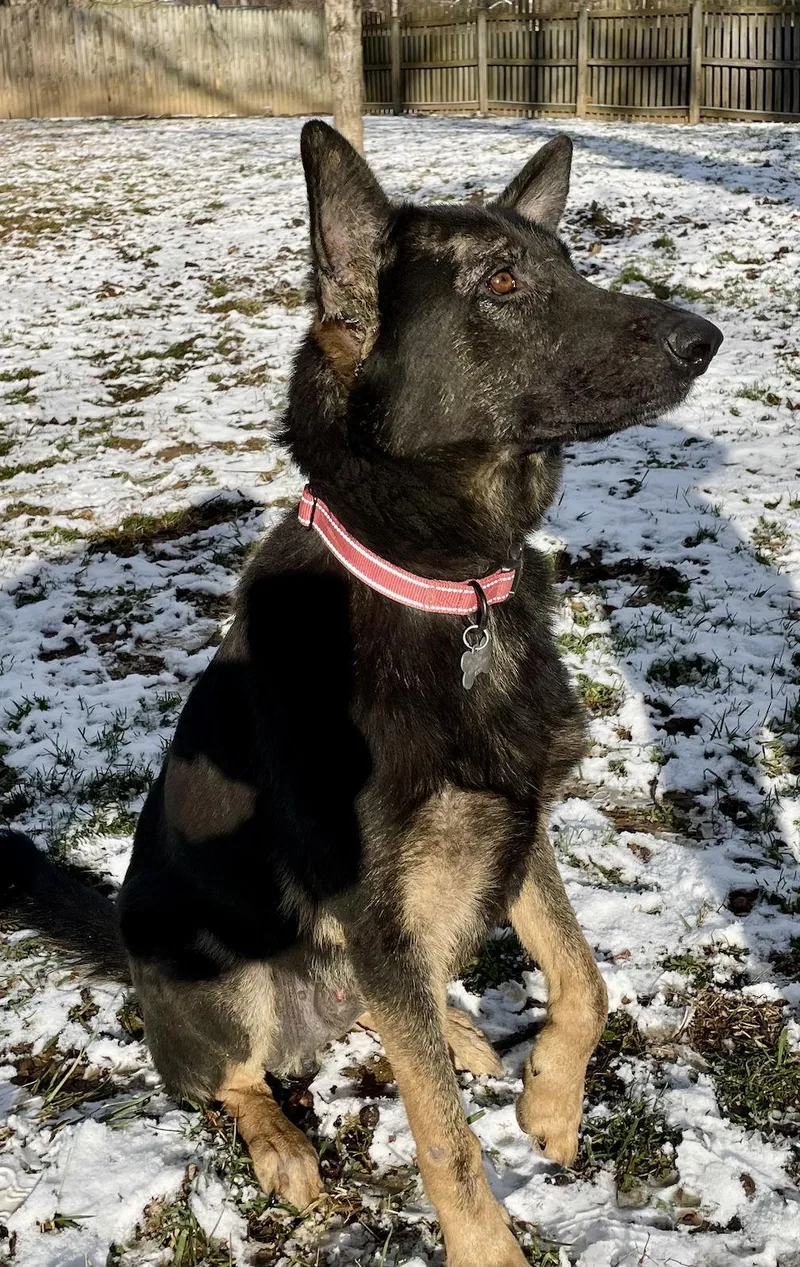 Berkeley thumbnail 2