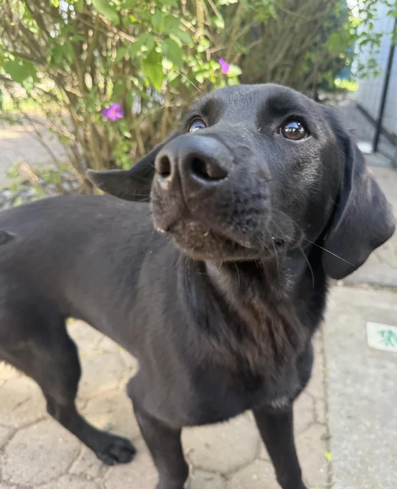 Twilight thumbnail 2